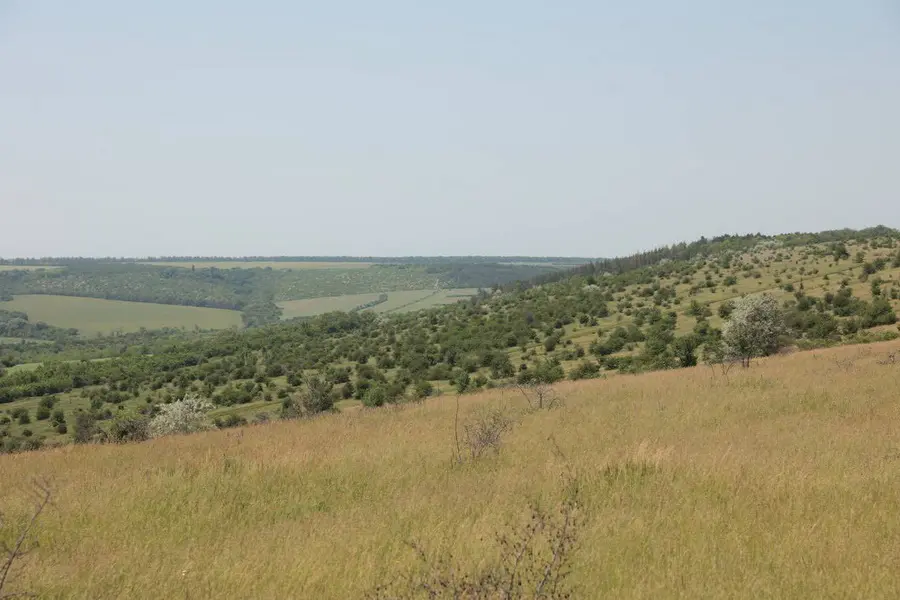 На Вінниччині відкрили ландшафтний заказник місцевого значення «Гора Лисківка»