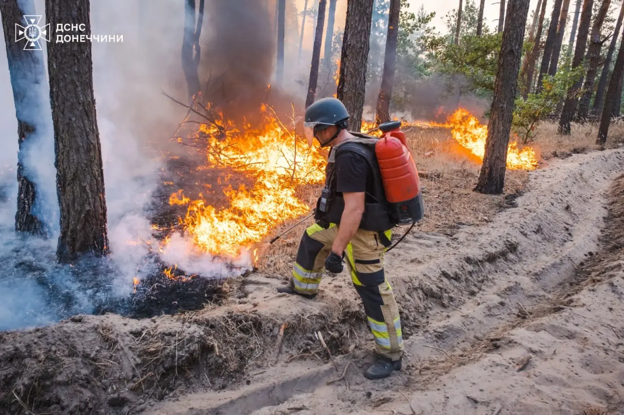 Горять ліси на Харківщині: в Ізюмському районі гасять три пожежі