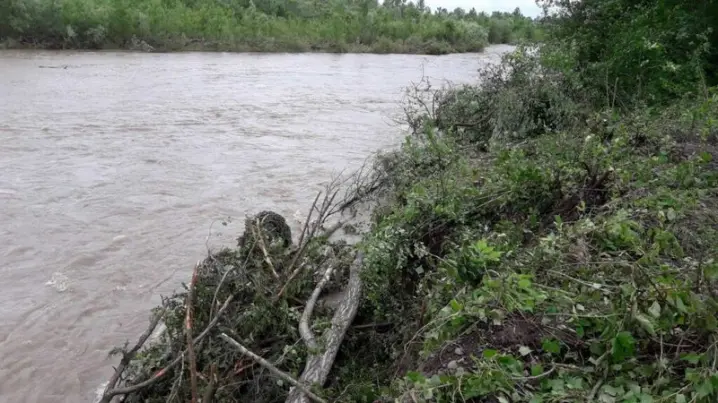 Завтра на Буковині очікується підняття рівня води у річці Прут на 2-2,5 м над нулем поста