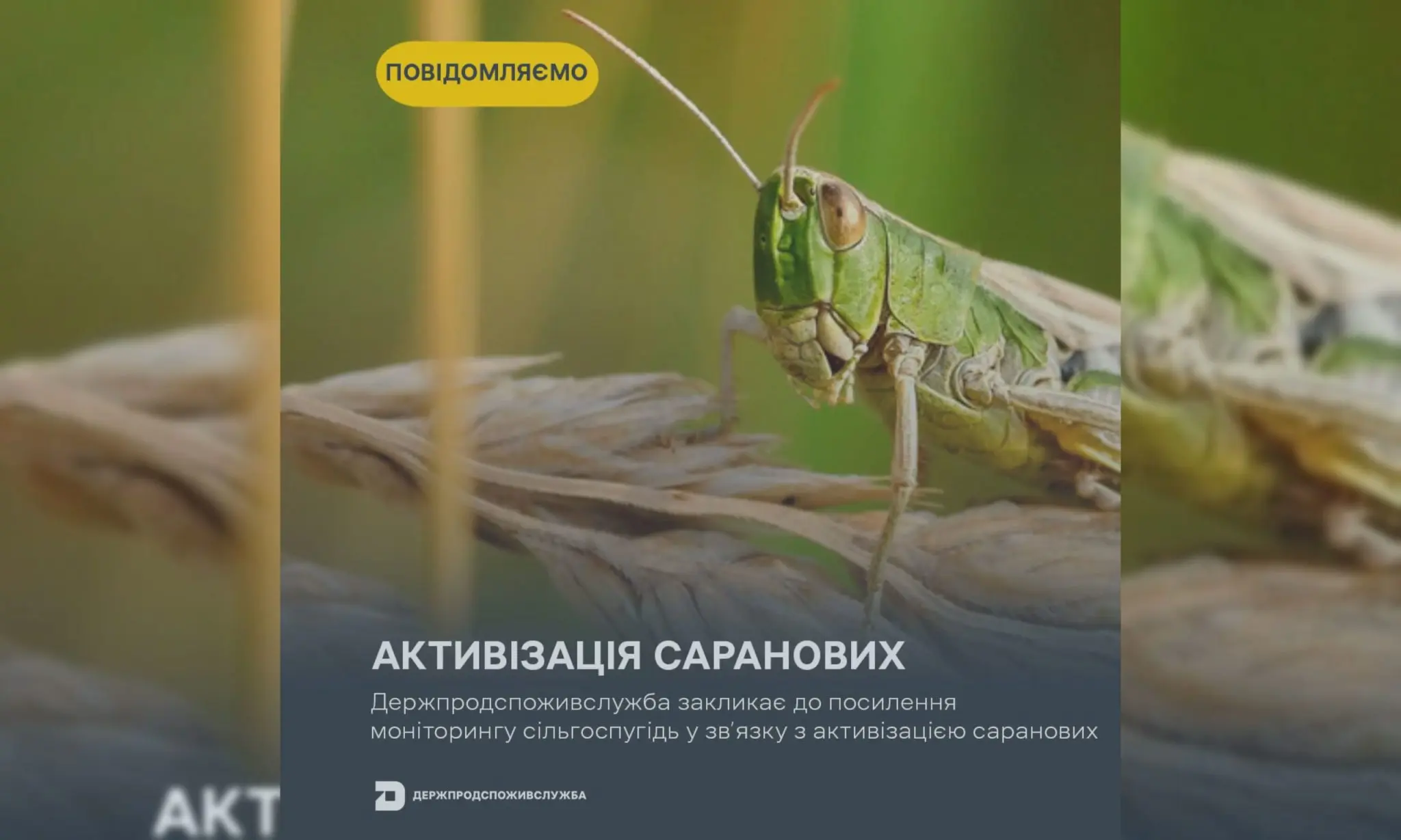 Держпродспоживслужба звернулась до аграріїв Харківщини: хто активізувався