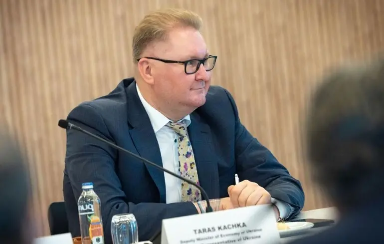 Усе було, як у фільмі про мафію: яка атмосферу панувала на перемовинах про корисні копалини