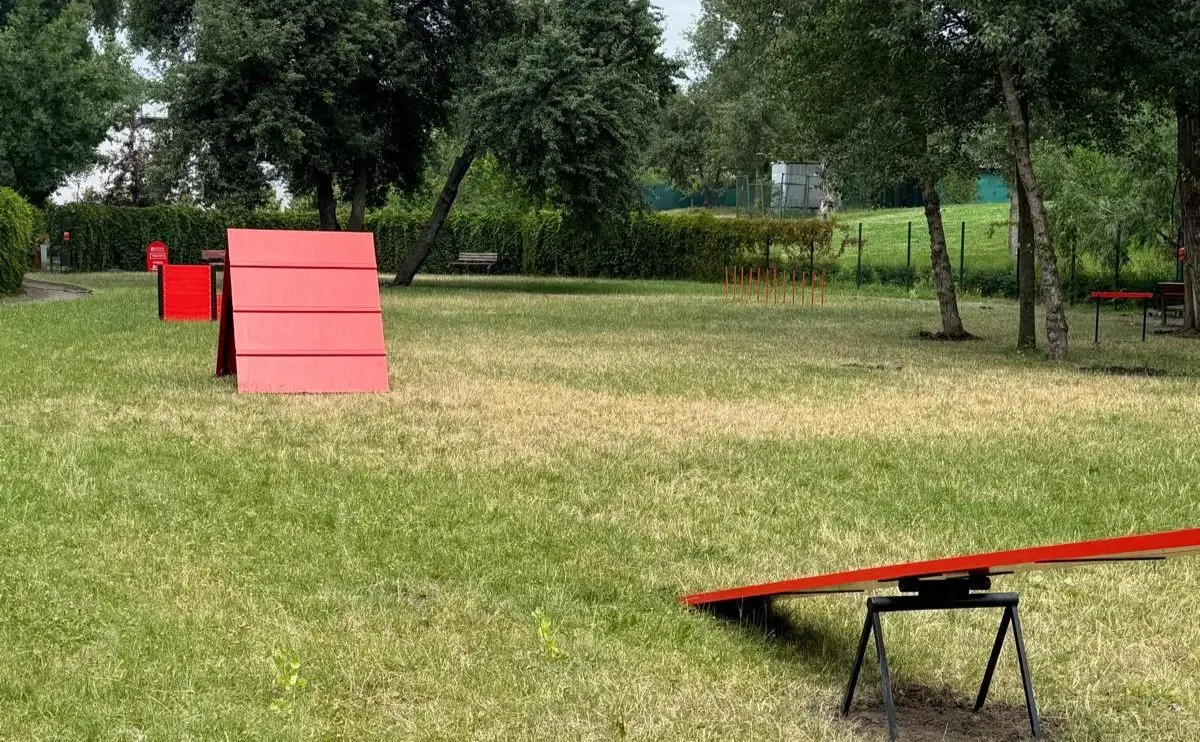 В Оболонському районі відкрили новий майданчик для вигулу собак