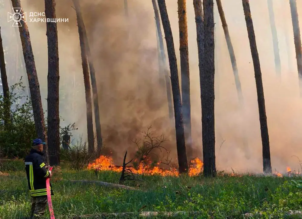 На Харківщині заборонено відвідувати ліси через спеку
