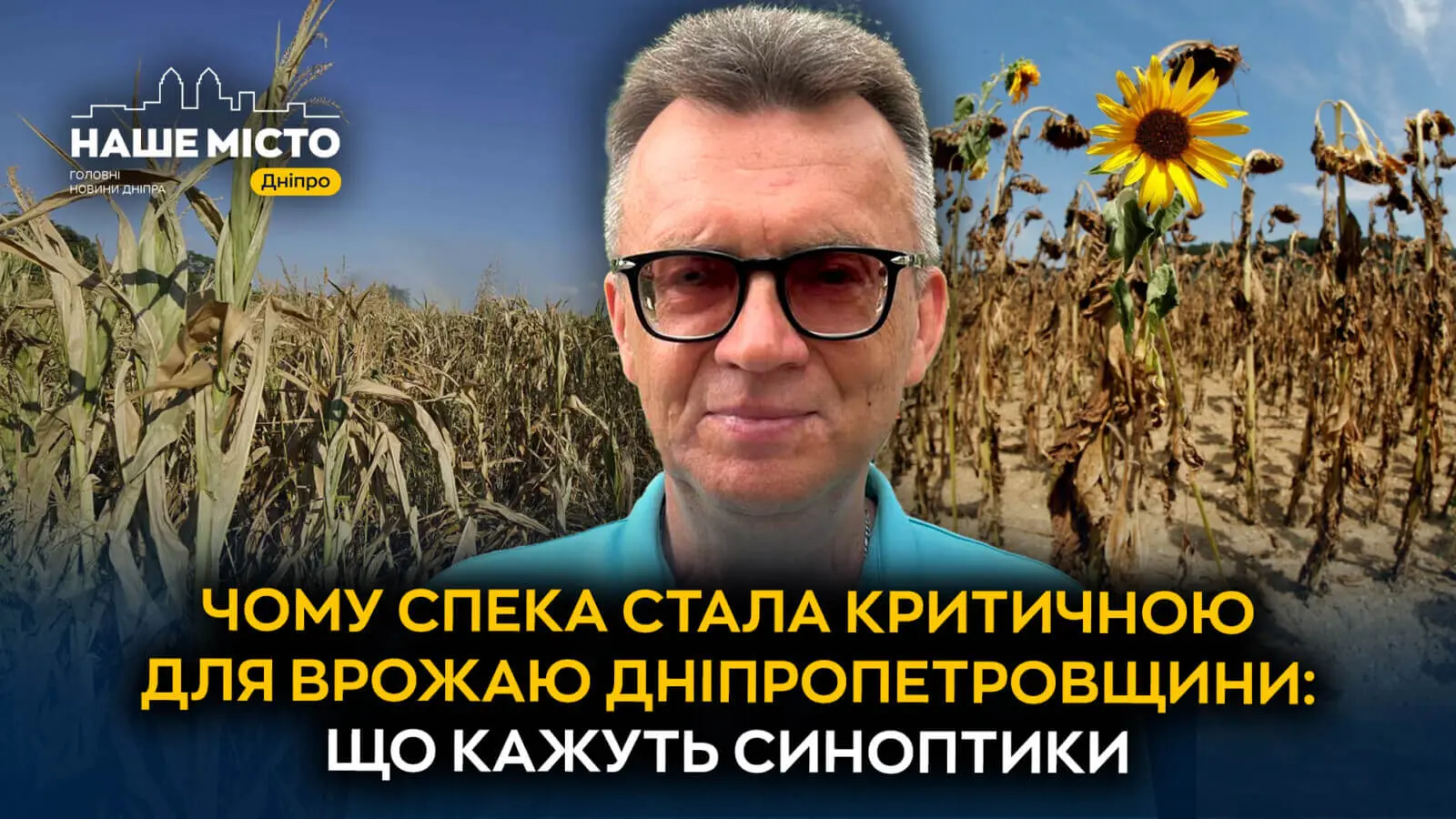 Урожай мінімальний або відсутній взагалі: аномальна погода знищує посіви на Дніпропетровщині