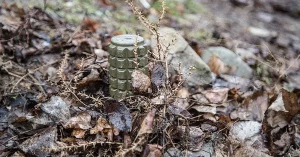 Нардеп повідомив про вихід України з конвенції про заборону протипіхотних мін
