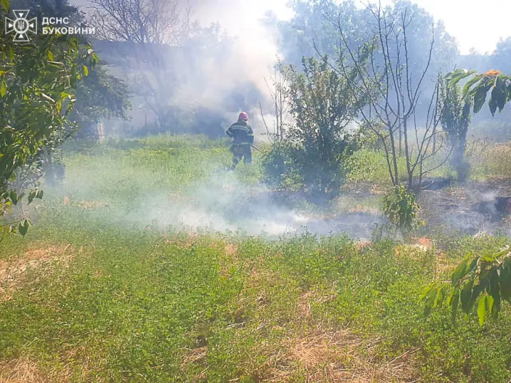 На Буковині оголосили надзвичайний рівень пожежної небезпеки