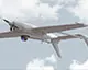 Українська компанія Skyeton вироблятиме дрони Raybird у Словаччині