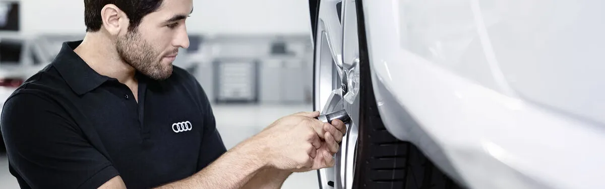 Обслуговування супортів і замків дверей Audi у сервісі Master Service
