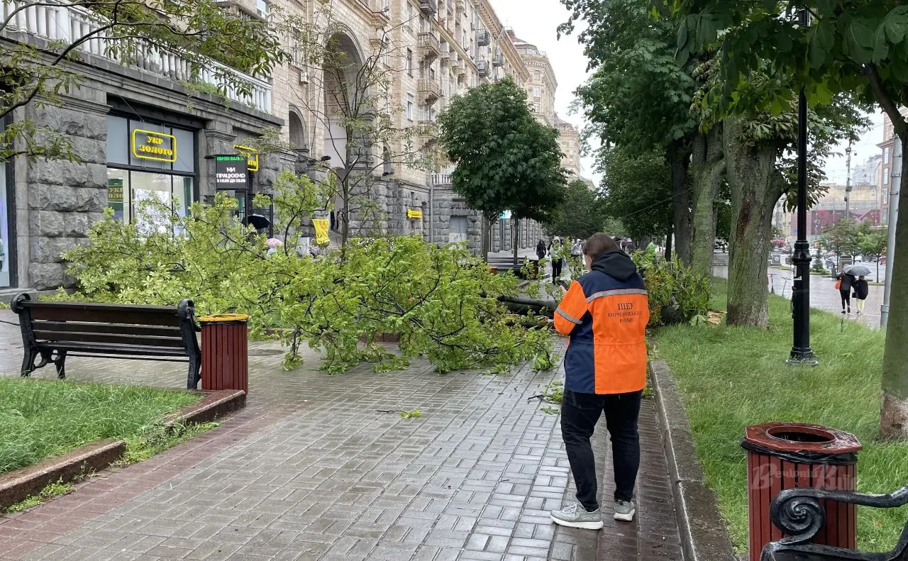 На Хрещатику через негоду на пішохідну частину впало дерево
