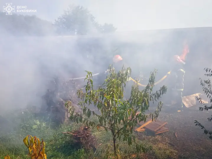 У Малинцях горіла будівля із сушаркою фруктів