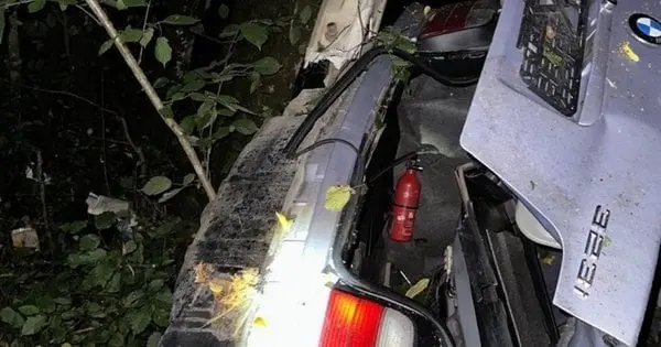 Біля Франківська водій BMW в’їхав у дерево і загинув на місці