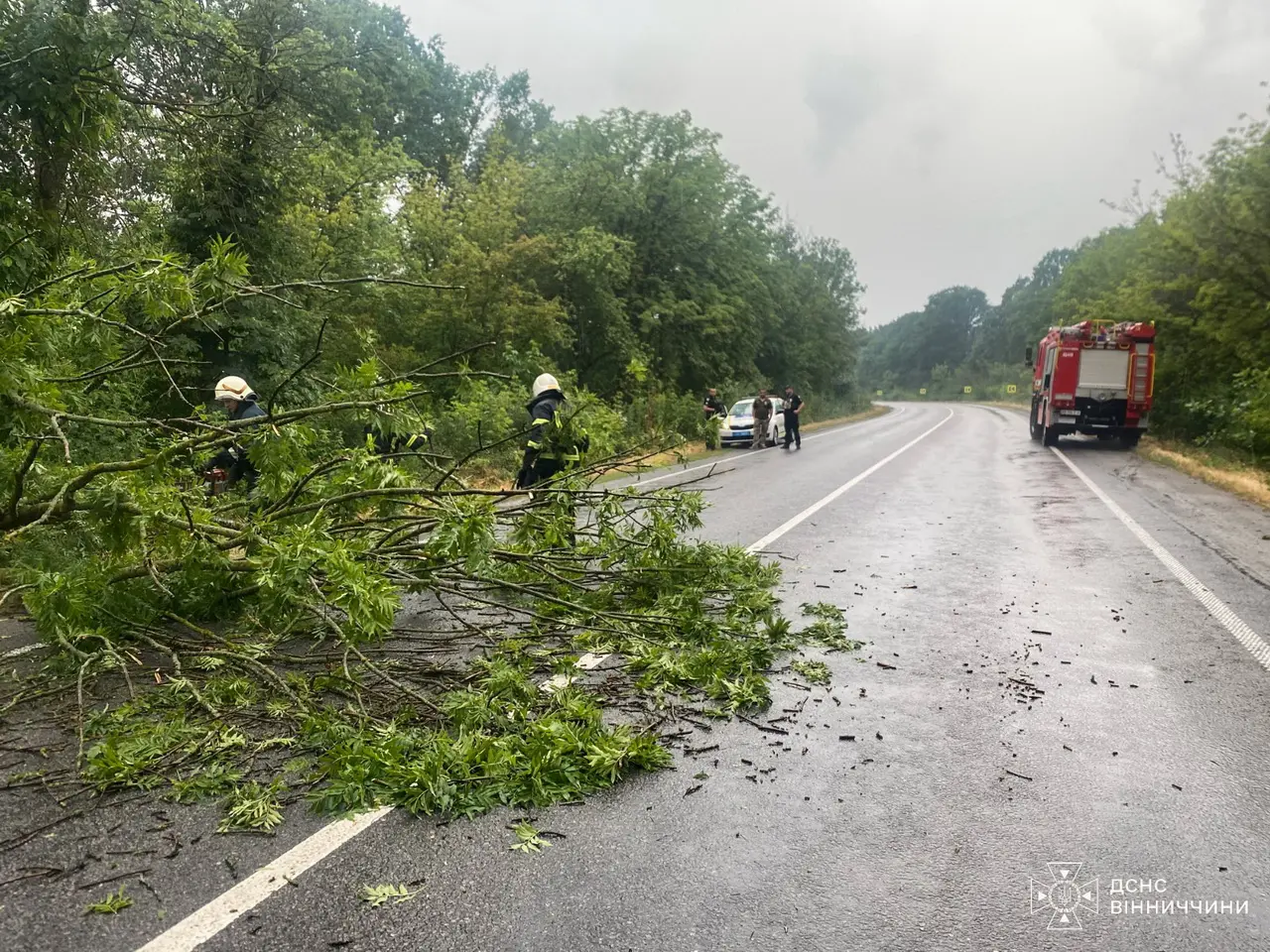 У Вінниці та області через негоду повалені дерева перекрили дорогу