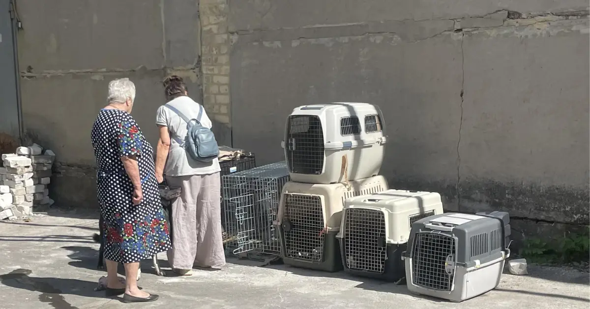 На Вінниччині мешканці не дозволили заселитись евакуйованим з Донеччини бабусям з тваринами: що відомо