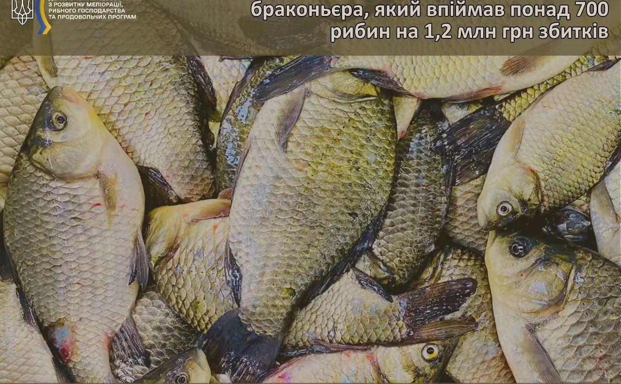 Київські рибоохоронці викрили браконьєра, який впіймав понад 700 рибин на 1,2 млн грн