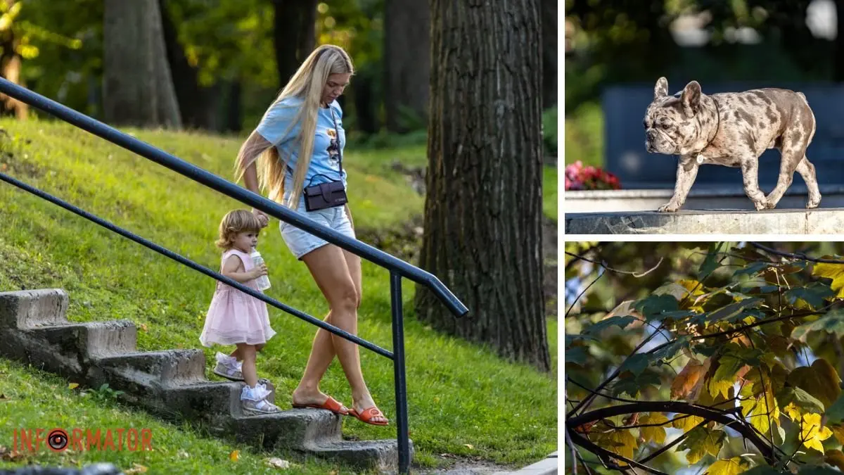 Як виглядає осінній парк Шевченка у Дніпрі: фоторепортаж Інформатора