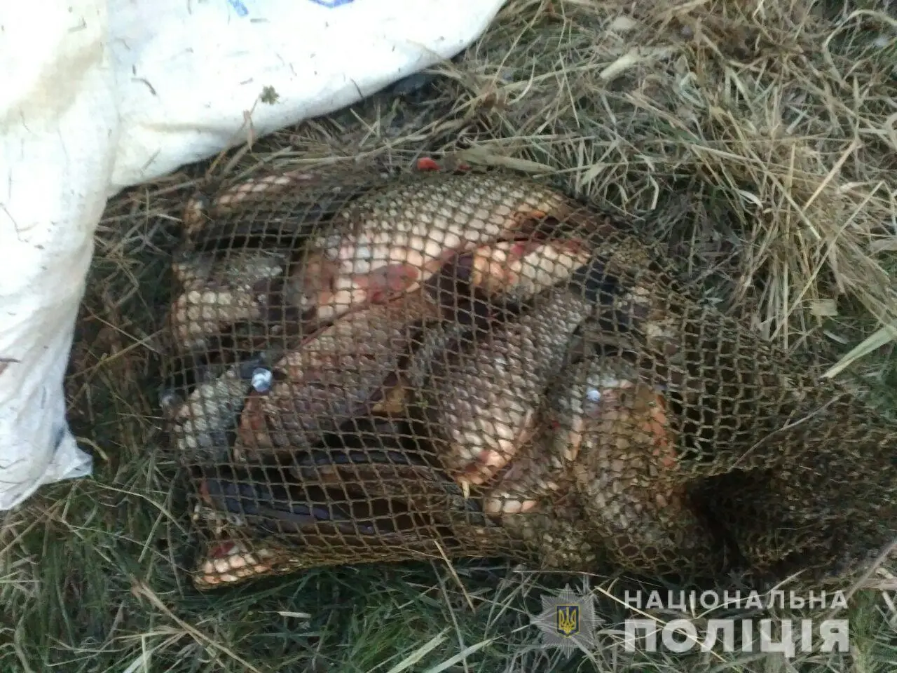 Харків’яни рибалять попри заборону: порушників штрафують патрулі