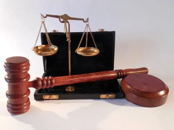 В Ужгороді собаку та свиню змушували займатись сексом із людьми: шокувальні подробиці