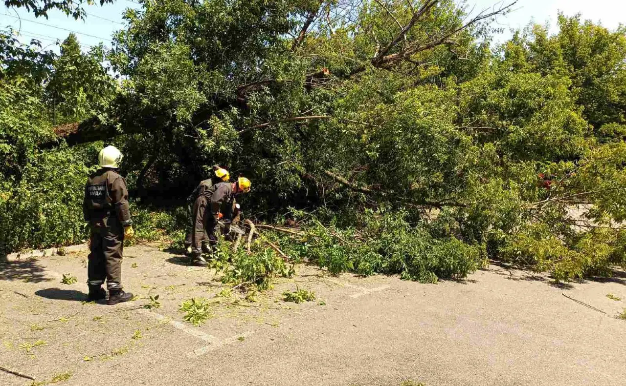 У Солом’янському районі рятувальники КАРС прибрали дерево, що впало на парковку
