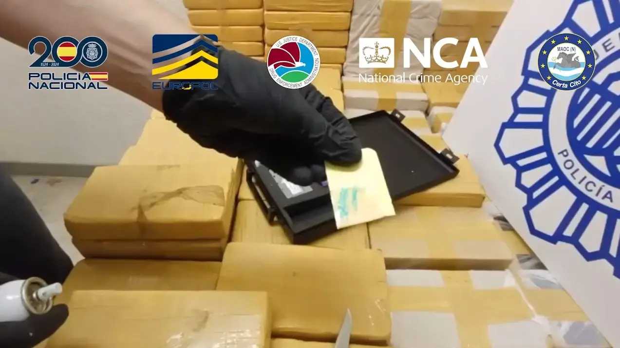 На іспанських Канарських островах викрили мережу контрабанди кокаїну