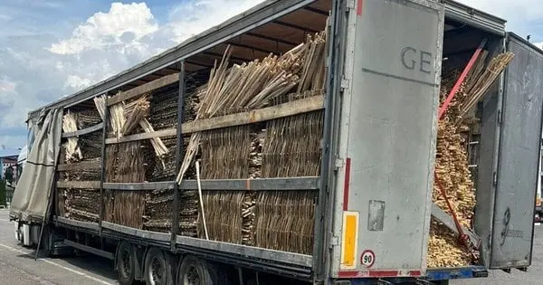 Мешканка Львівщини нелегально вивозила деревину в Польщу