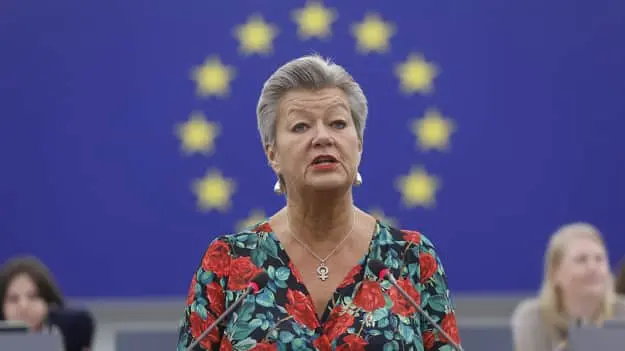ЗМІ: ЄС призначить спецпредставника з питань українців