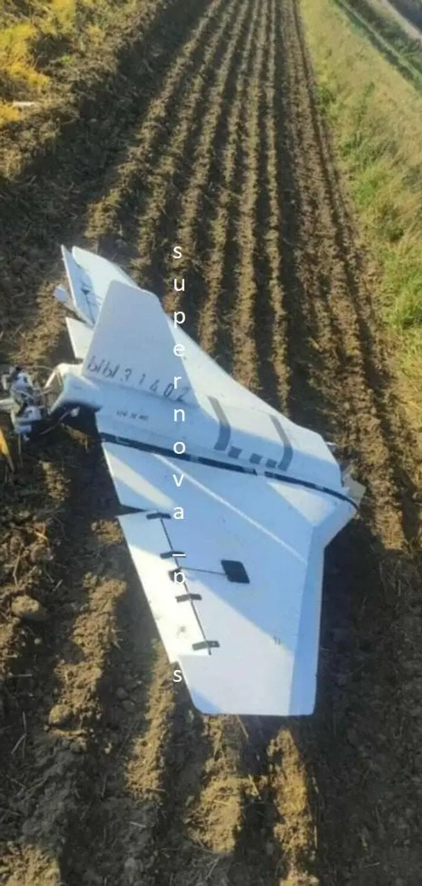 У Польщі виявили уламки російських БпЛА (фото)