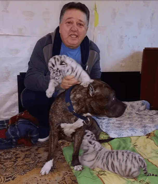 Зображення
