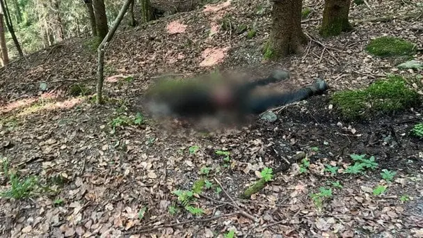 У горах біля кордону з Румунією виявили тіло чоловіка: чи був він ухилянтом