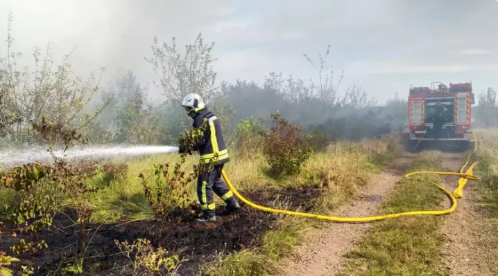 За добу на Буковині сталося три пожежі на відкритій території, вигоріло 2 гектари землі