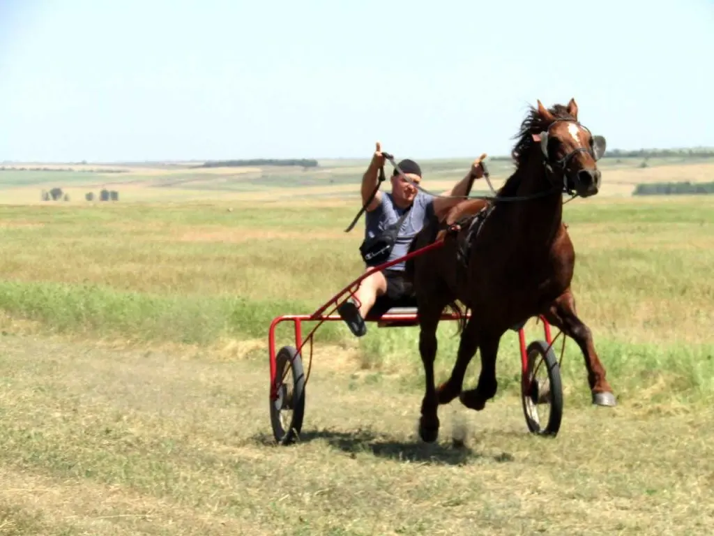 На Одещини відновили традицію кінних перегонів (ФОТО)