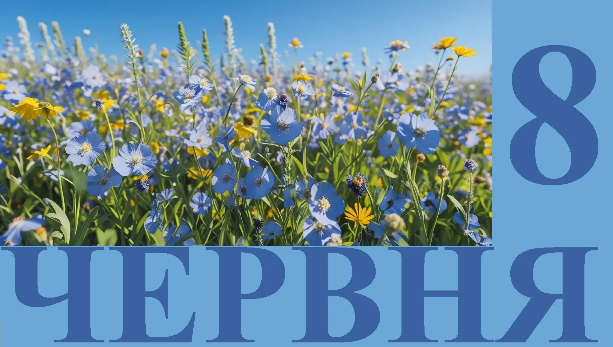 Сьогодні 8 червня: який день в історії