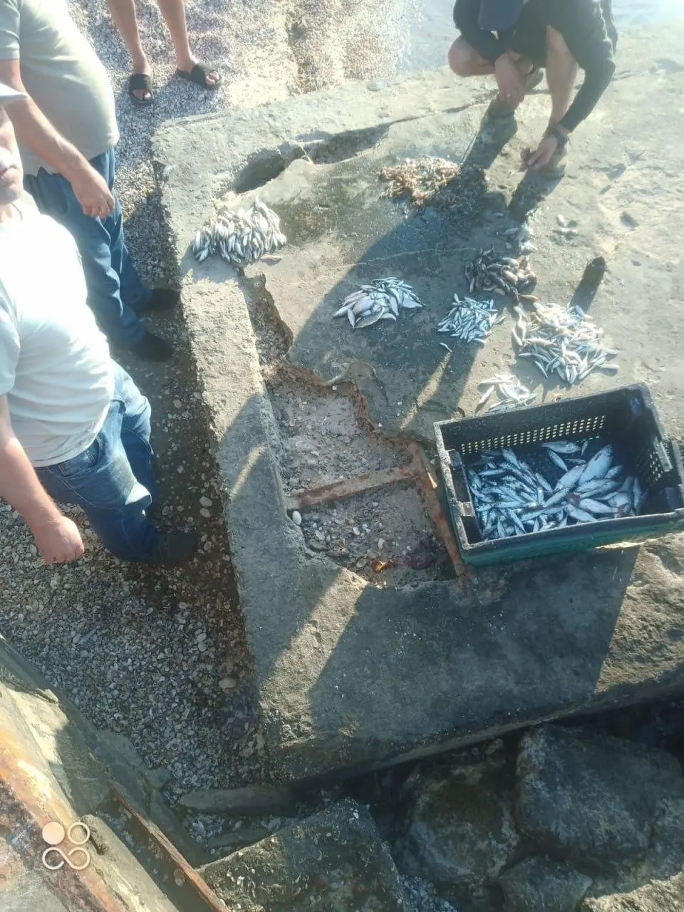 На Миколаївщині чоловік незаконно наловив риби та креветок на мільйон
