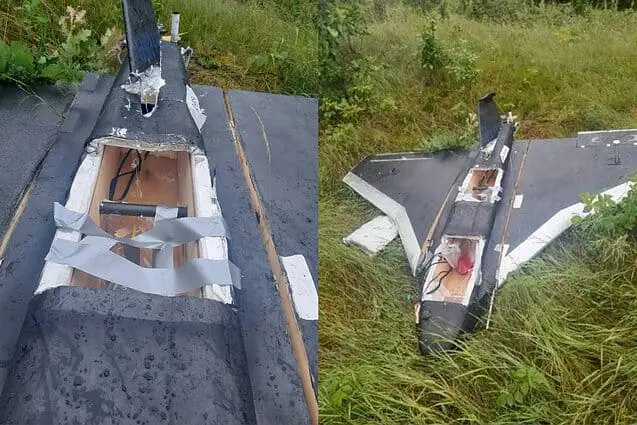 У Литві підтвердили, що їхній повітряний простір порушив російський дрон "Гербера"