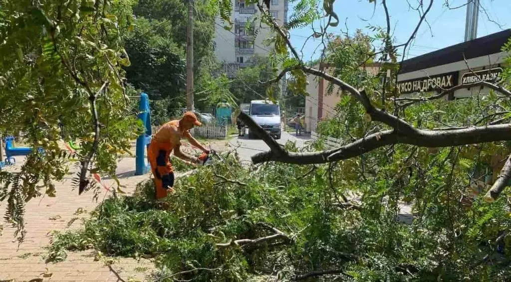 В Одесі вітер повалив 30 дерев: комунальники працюють над ліквідацією наслідків