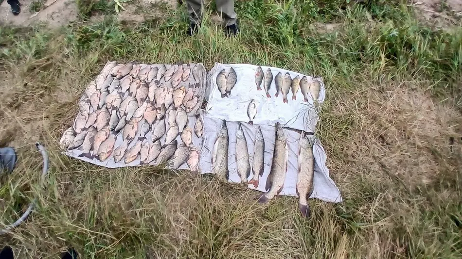 На Вінниччині чоловіки сітками незаконно виловили 26 кілограмів риби