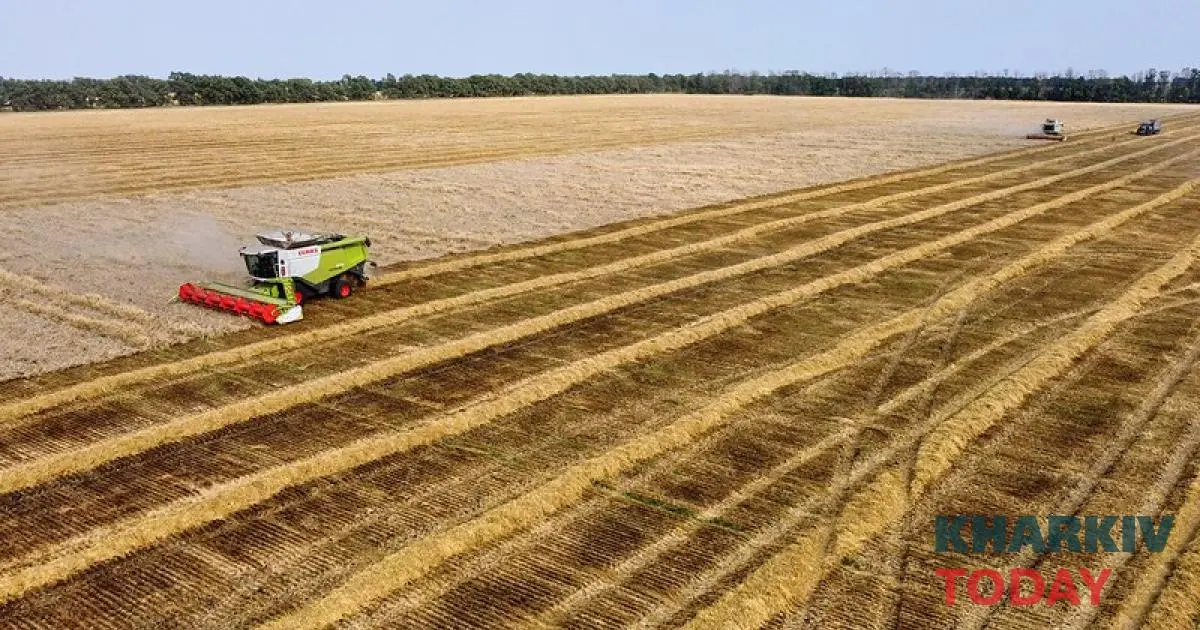 У Харківській області нелегально засіяли 500 гектарів землі