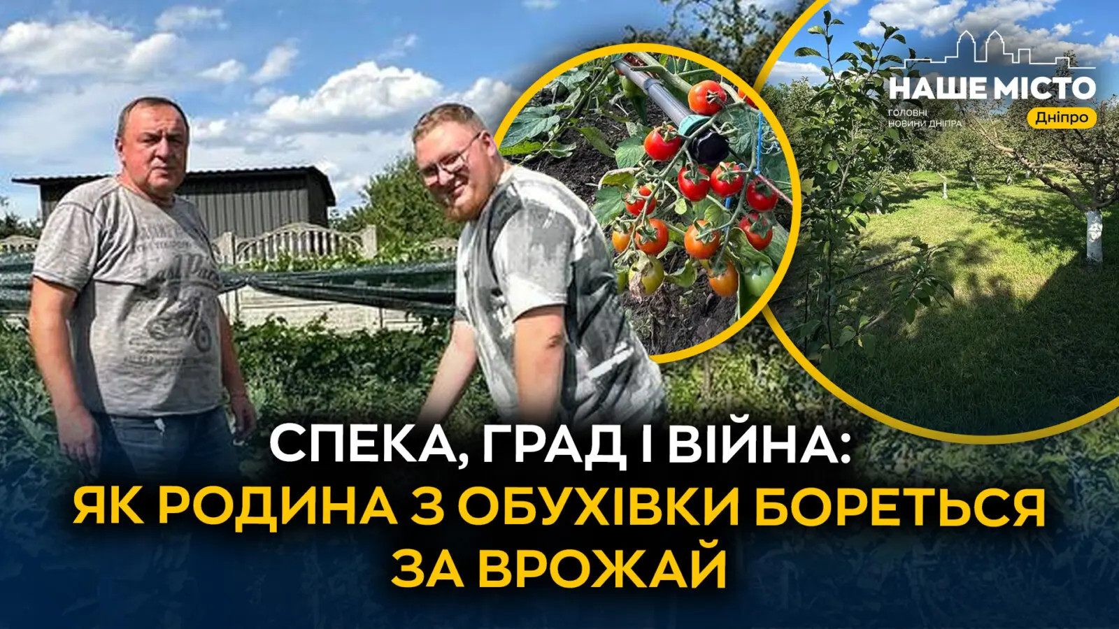 Аномальна погода та війна: чому гинуть городи на Дніпропетровщині
