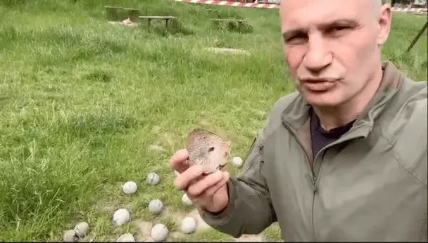 Для удару по Києву ворог застосував касетні боєприпаси (відео)