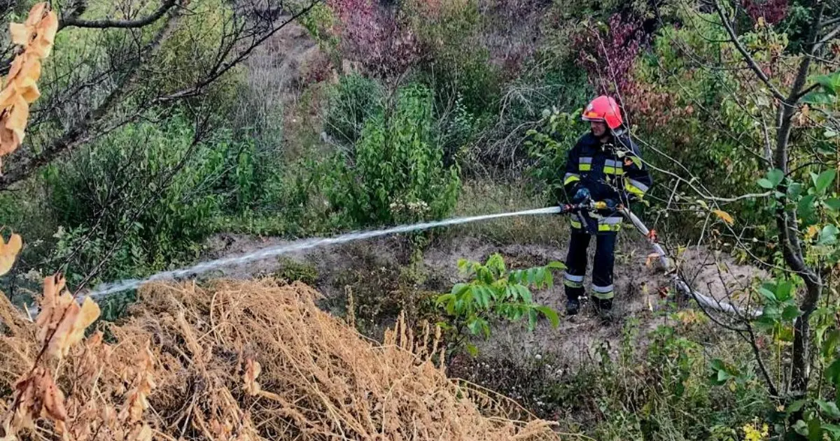 На Вінниччині рятувальники ліквідували 11 пожеж