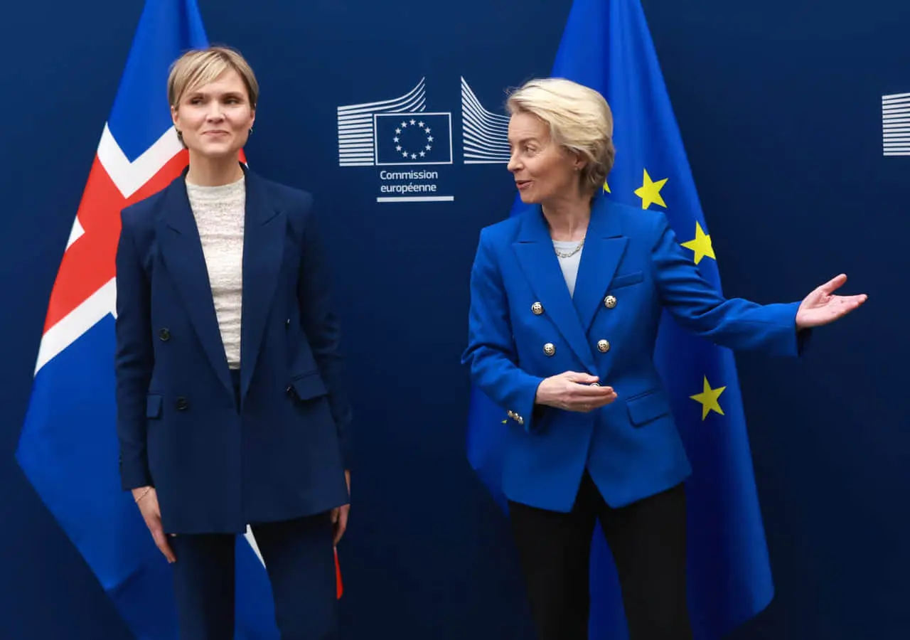 Населення Ісландії підтримує відновлення переговорів про вступ до ЄС – МЗС