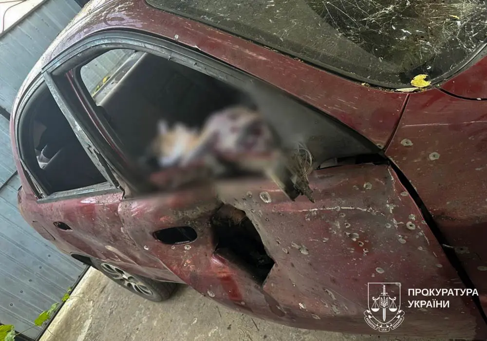 У Куп'янському районі дрон вбив жінку, чоловік поранений