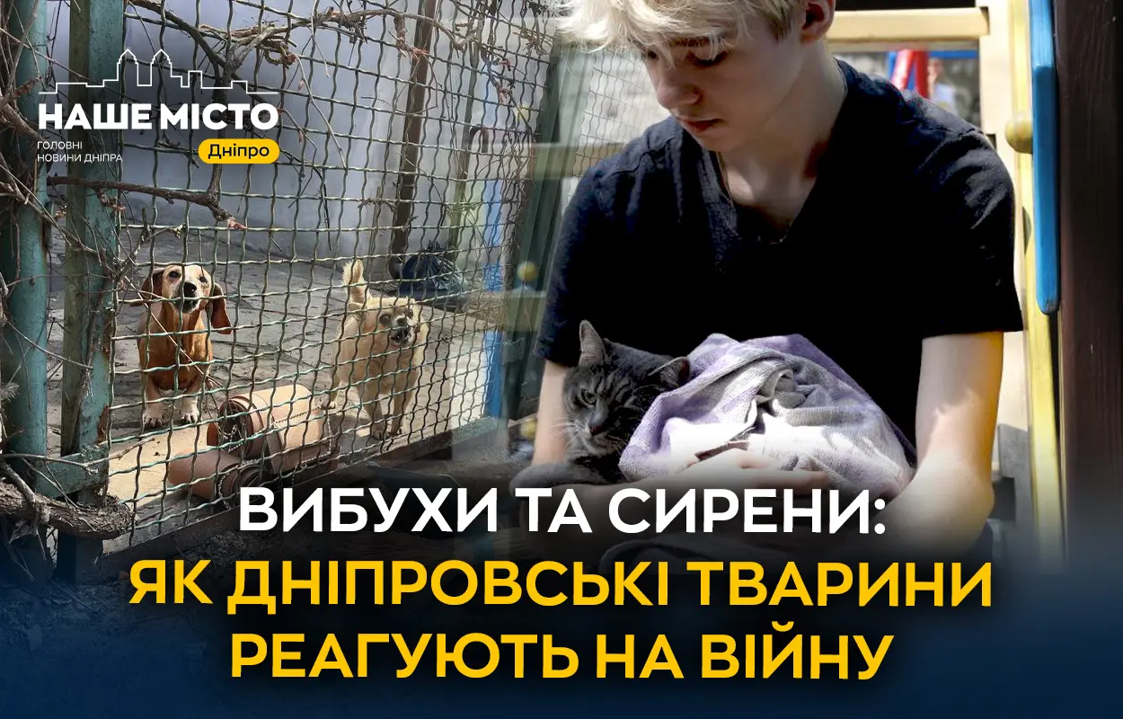 Вибухи та сирени у Дніпрі: як звуки війни впливають на домашніх тварин і як їм допомогти