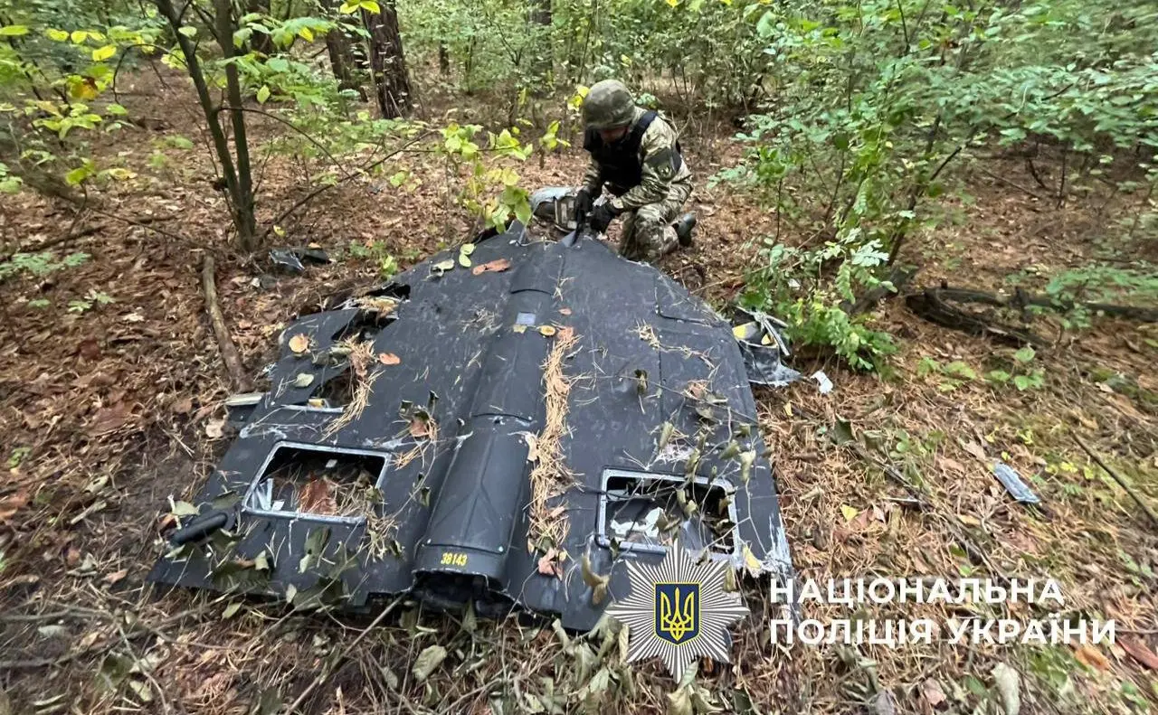 У лісосмузі Дарницького району виявили уламки ворожого БпЛА з нездетонованою бойовою частиною