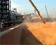 Експорт АПК України зріс на 15,6% у серпні 2025 року