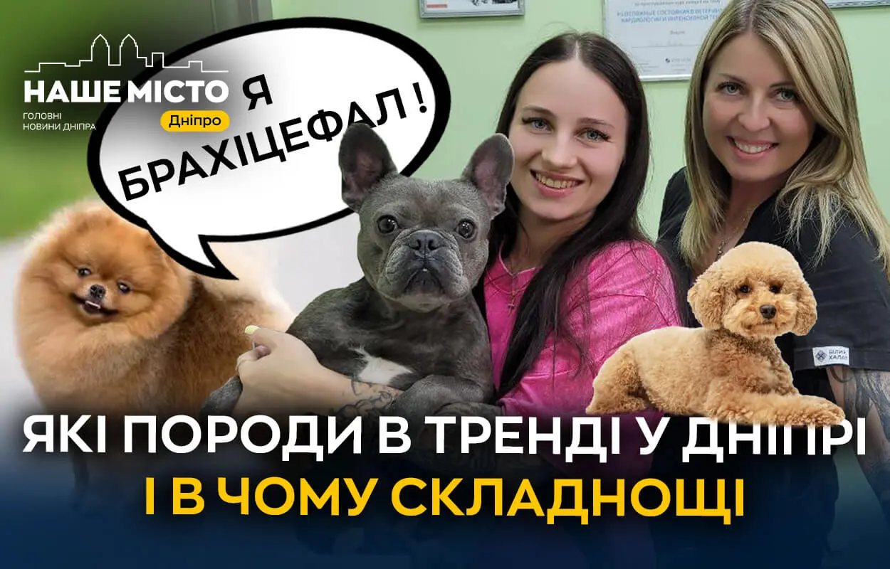Які породи собак у тренді у Дніпрі і в чому складнощі їх утримання