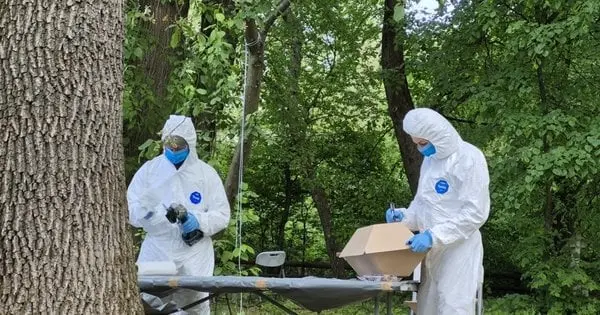 Україна планує почати ексгумацію поховань на території Польщі у вересні