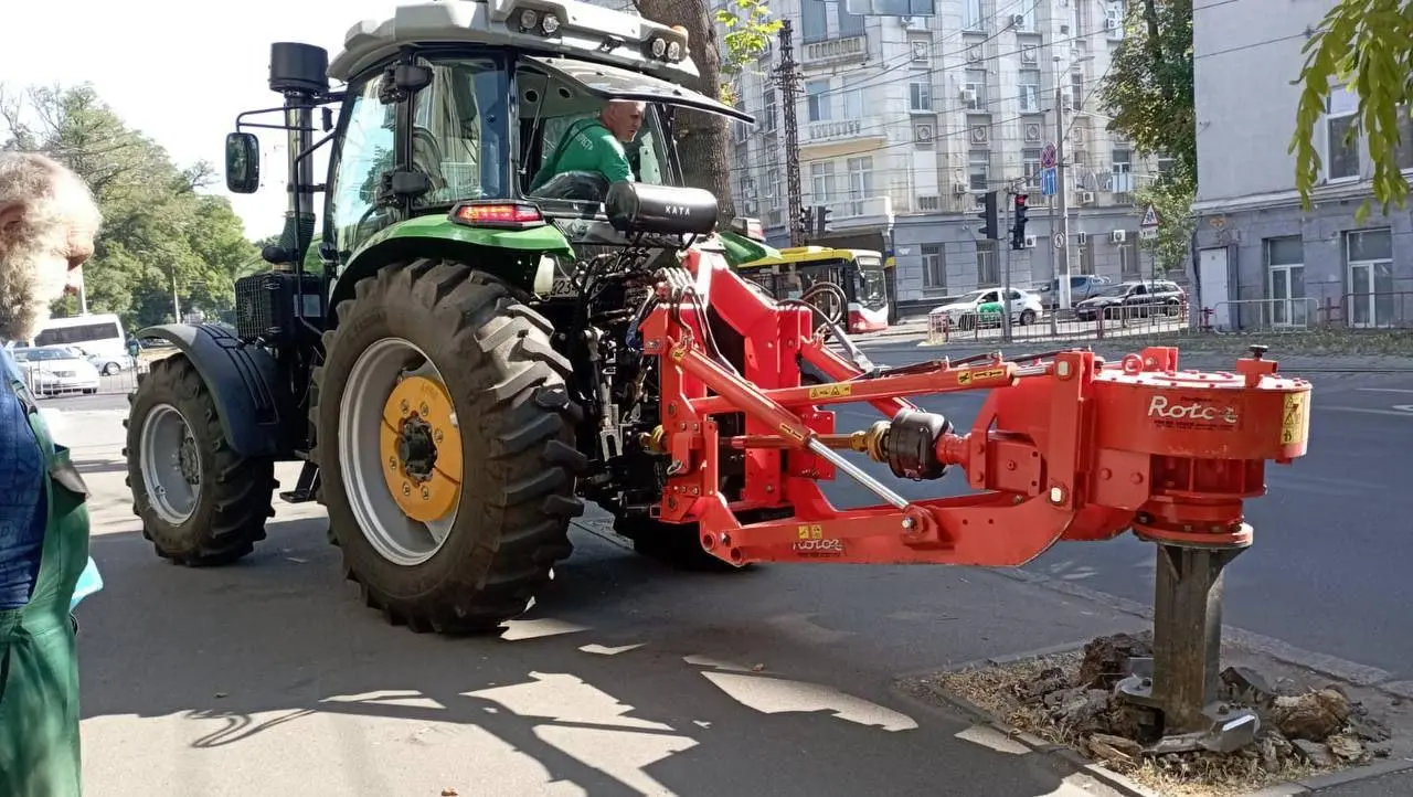 З початку року в Одесі викорчували понад 600 пнів