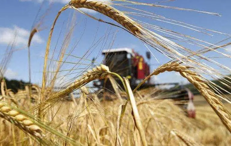 Агробізнес в Україні зростає: на одну закриту компанію припадає 2,5 нових
