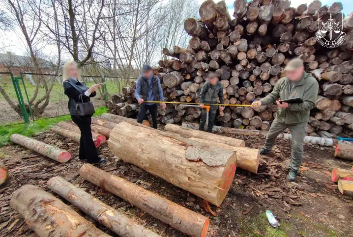 Прокуратура викрила збитки довкіллю на Буковині на понад 250 тисяч гривень