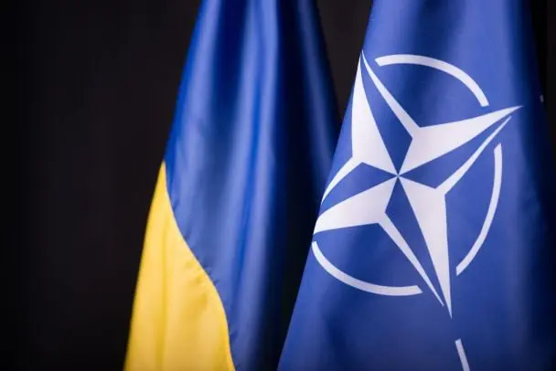 Чого очікувати Україні від саміту НАТО: Портников відзначив важливі моменти